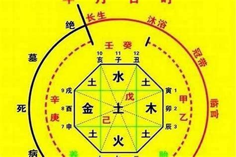 八字命盤 五行|生辰八字算命、五行喜用神查詢（免費測算）